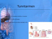 /album/matspjalkningssystemet/a6-matspja%cc%88lkningssystemet-016-jpeg/